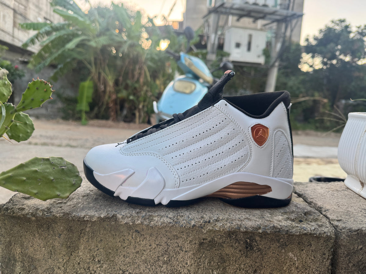 Air Jordan 14 Retro "White"